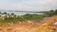 Kerusakan Hutan Mangrove Batam Tidak Bisa Pulih Dalam 1 Abad