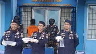 31 Ribu Benih Lobster Ilegal Disita di Lampung, Nilainya Capai Rp4,6 Miliar