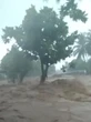 Mirip Peristiwa 2014, Ini Penyebab Banjir Bandang dan Longsor yang Terjang Sukabumi