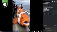 Cek Fakta: Hoaks Video Penampakan Clownfish Berukuran Jumbo