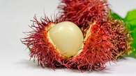 Resep Rambutan Goreng, Kuliner Unik Khas Jambi