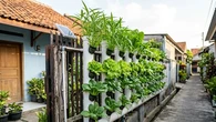 9 Model Pagar Hidroponik Sederhana yang Bisa Dipanen Harian, Produktif dan Mudah Dirawat