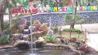 Viral Harimau di Semarang Zoo Mati Diduga karena Salah Anestesi
