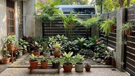 9 Inspirasi Kebun Mini di Balik Pagar yang Tidak Terlihat dari Jalan, Jadi Oase Tersembuny...