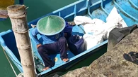 Melimpah Ruah Tak Terjual: Kisah Pilu Nelayan Lobster Gunungkidul