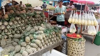 Kredit Usaha Rakyat BRI Jadi Kunci Sukses Pertumbuhan Usaha “Nanas Nadi” di Lampung