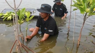 BRI Gandeng Generasi Muda Lestarikan Lingkungan Wilayah Pesisir di Mamuju dan Tuban