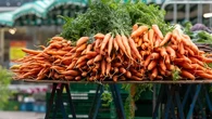 5 Jenis Sayuran yang Dapat Tumbuh Baik di Daerah Panas dan Dingin