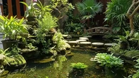 Biaya Bikin Kolam Ikan di Rumah, Rincian Lengkap dari Minimalis Hingga Koi Mewah