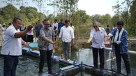 Strategi dan Inovasi Berikanesia Lestari untuk Dukung Ekonomi Biru di Pulau Belitung