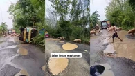 Viral Ratusan Babi Terguling dan Mandi Lumpur di Jalan
