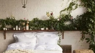 8 Tanaman Hias Wangi untuk Kamar Tidur, Tingkatkan Kualitas Istirahat dan Relaksasi