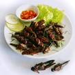 15 Kuliner Ekstrem Khas Indonesia yang Bikin Penasaran, Menggali Sensasi Rasa