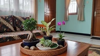 10 Pilihan Tanaman Hias untuk Meja Tamu: Percantik Ruangan dengan Sentuhan Alam