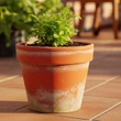 7 Model Pot Bunga dari Tanah Liat hingga Beton: Mana yang Paling Cocok untuk Teras Rumahmu...