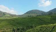 Wisata Alam Bisa Jadi Terapi Bermanfaat untuk Kesehatan Mental