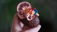 Benarkah Ada Makanan atau Minuman Pembersih Ginjal? Ini Kata Dokter