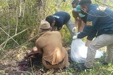 Misteri Kerangka Manusia di Kebun Jati Sukabumi Akhirnya Terungkap