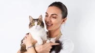 Apakah Anda Pecinta Kucing atau Anjing? Pilihanmu Bisa Mengungkap Kepribadian