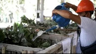 PLN Grup Sulap 1.726 Kg Sampah jadi Produk Bernilai Ekonomi