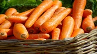 4 Trik Ampuh Supaya Wortel Keriput Jadi Segar Lagi, Dijamin Renyah