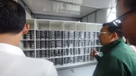 Bapanas Minta Bahan Pangan Ayam dan Telur SPPG dari Peternak Kecil