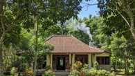 7 Model Rumah 1 Lantai di Kampung dengan Pepohonan di Sekitar Rumah dan Halaman Hijau