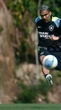 Botafogo prepara novidades para enfrentar o Palmeiras
