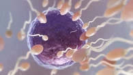 O que as mulheres precisam saber antes da fertilização in vitro