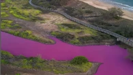 Vídeo: Seca faz lago no Havaí ficar rosa; entenda o fenômeno