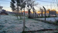 Geada marca quarto dia seguido com temperaturas negativas no RS