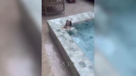 Cachorrinha é flagrada curtindo piscina logo pela manhã
