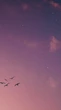 Ritual da expansão para a Lua Nova de junho
