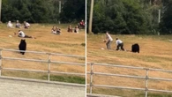 VÍDEO: casal com fones não vê urso se aproximar e foge por pouco