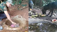 Bebedouro limpo vira ponto de encontro de animais silvestres