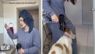 Cachorro interrompe rotina da tutora para disputar secador