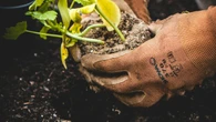 Homem encontra restos humanos no quintal enquanto faz jardinagem