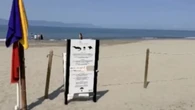 Homem morre após ataque de crocodilo em praia do México
