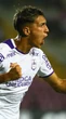 Botafogo e Fluminense disputam contratação do volante Facundo Bernal
