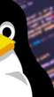 Pesquisadores identificam falha crítica que expõe sistemas Linux