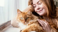 Barulho dos jogos pode afetar saúde urinária dos gatos