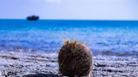 Nem precisa falar arigatô! Conheça esta praia que fica no Japão