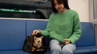 Tudo o que precisa saber para viajar de ônibus com seu pet