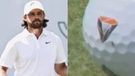 Vídeo: golfista tem ajuda de mosca para acertar o buraco