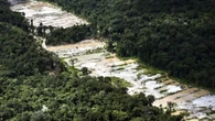 Garimpo ilegal: PF aplica mais de R$ 4,5 milhões em multas na Amazônia