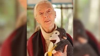 Morre Jane Goodall, pioneira nos estudos sobre os chimpanzés