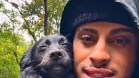 Cachorrinha abandonada na floresta é resgatada e ganha lar