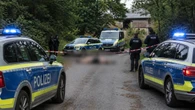 Tigre escapa, ataca tratador e acaba morto pela polícia