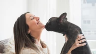 Cães lambem por carinho ou estresse? Entenda o gesto