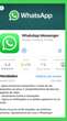 WhatsApp verde é liberado para todos no iPhone